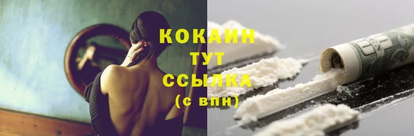 соль ск Арсеньев