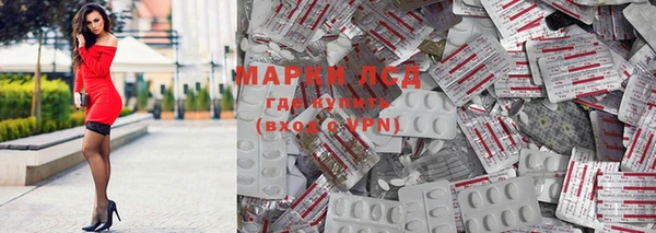 ГАЛЛЮЦИНОГЕННЫЕ ГРИБЫ Аркадак