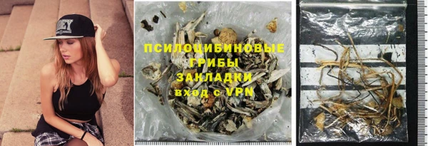 соль ск Арсеньев