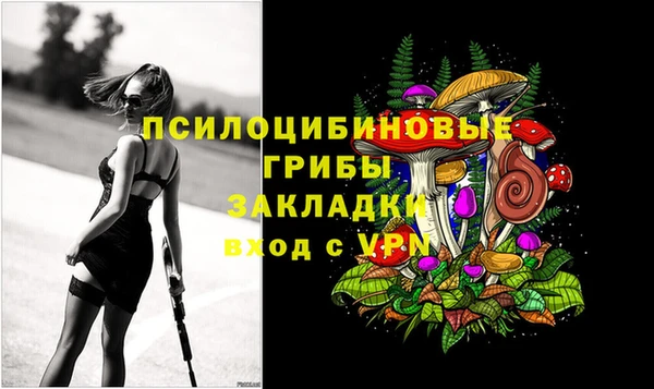 ГАЛЛЮЦИНОГЕННЫЕ ГРИБЫ Аркадак