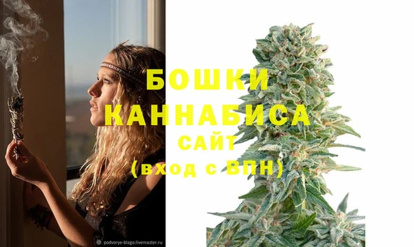 соль ск Арсеньев