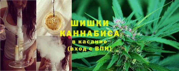 ГАЛЛЮЦИНОГЕННЫЕ ГРИБЫ Аркадак