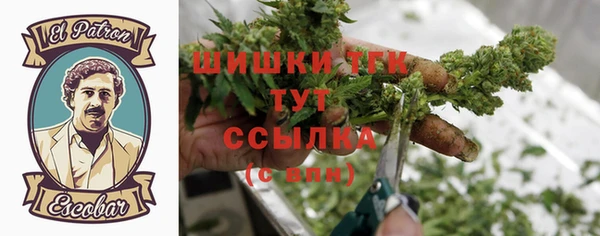 ГАЛЛЮЦИНОГЕННЫЕ ГРИБЫ Аркадак
